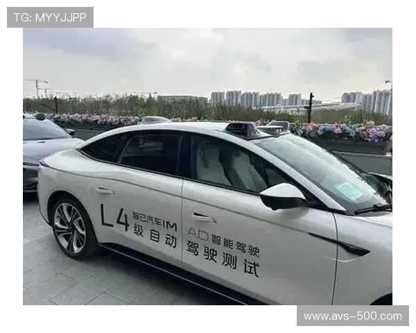 L4级自动驾驶接驳服务落地 补充传统交通保障能力